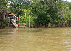 Em primeiro plano, a fotografia mostra o rio de cor amarela e marrom até mais da metade da imagem, de baixo para cima. Em segundo plano, ao fundo, no canto esquerdo da foto, há a casa de palafita, com uma rampa para o rio, visitada pela pesquisadora. Ao lado da casa e no restante da fotografia, há a floresta em vários tons de verde, perto do rio.